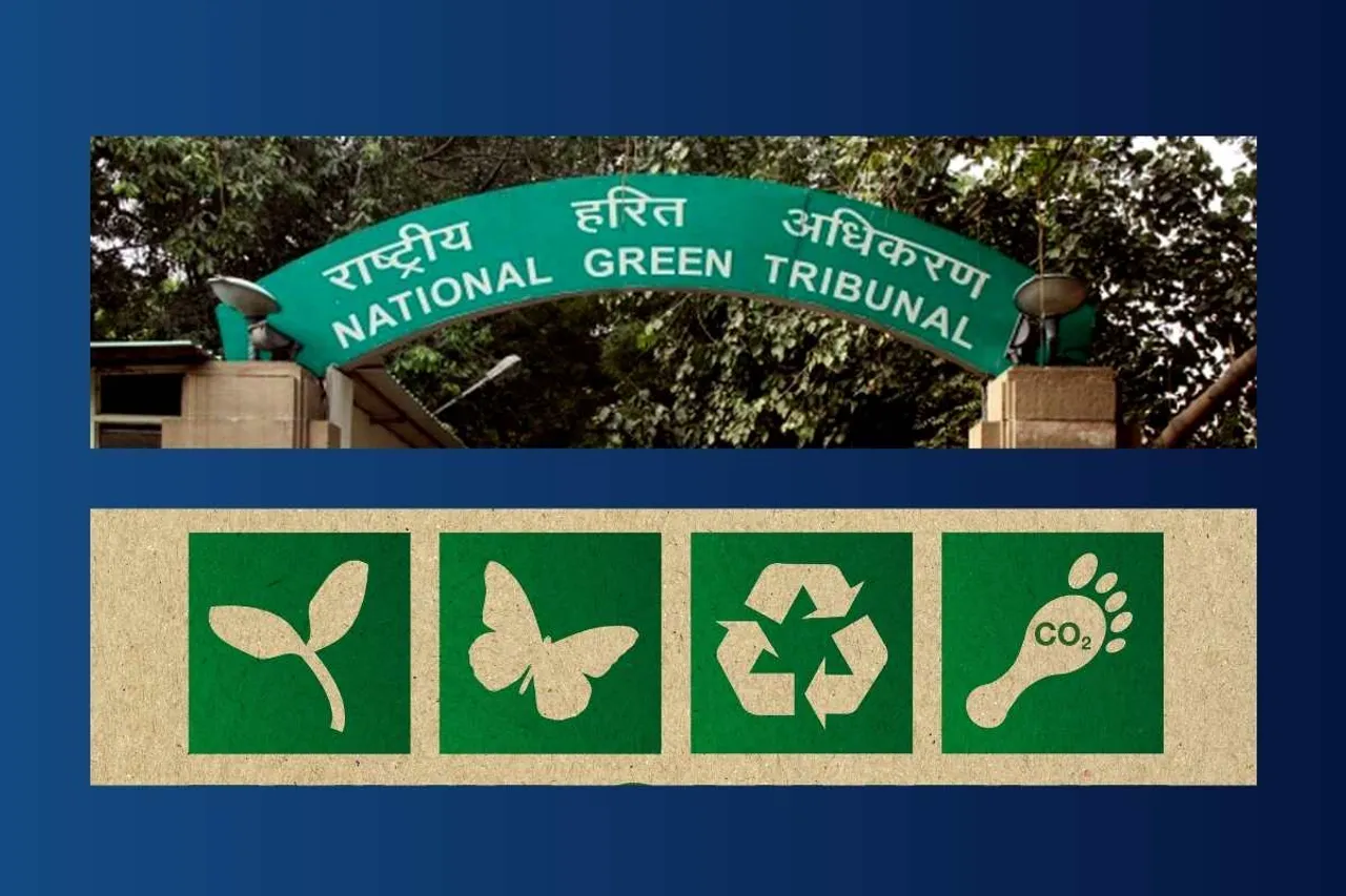 NGT issues deadline for report on Lassara drain pollution