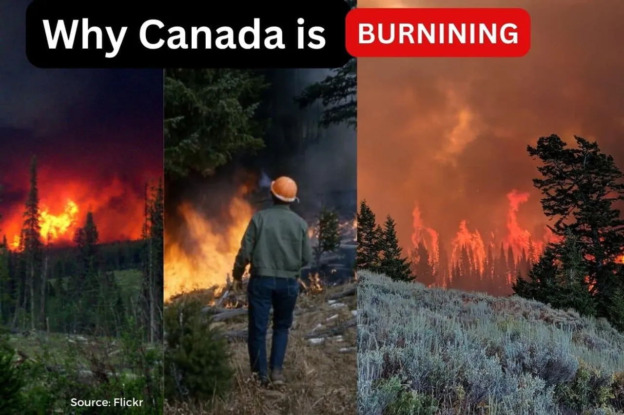 Explained: How did the Canadian wildfires start?
