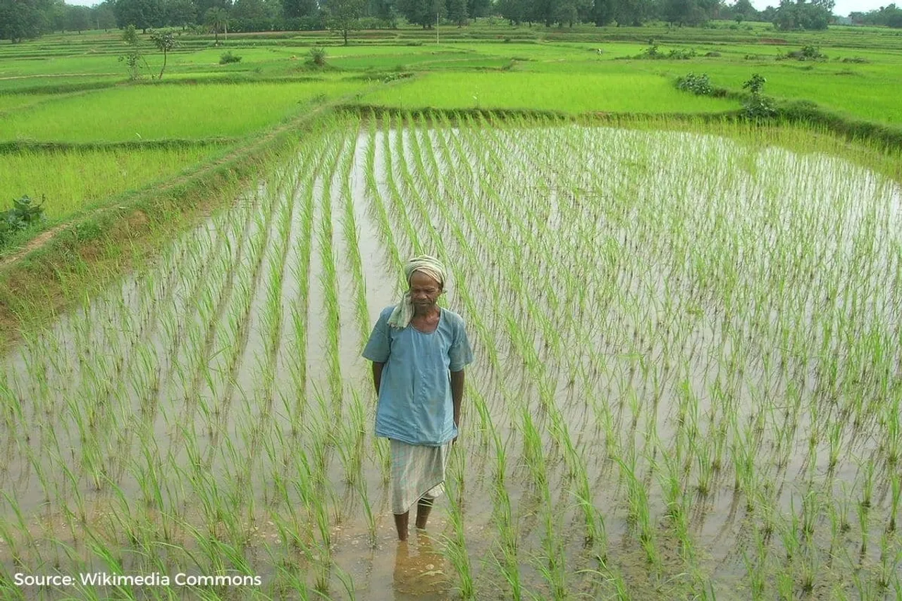 In Parliament: Unseasonal rains in March ruined over 18,000 hectares of crops in Chhattisgarh