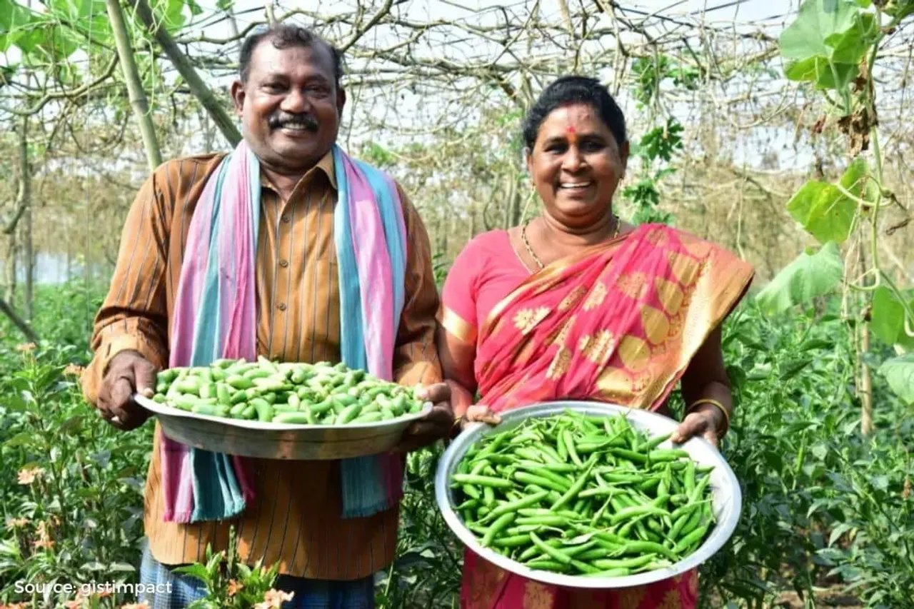 Andhra Pradesh leads the way: Agroecological farming proves successful