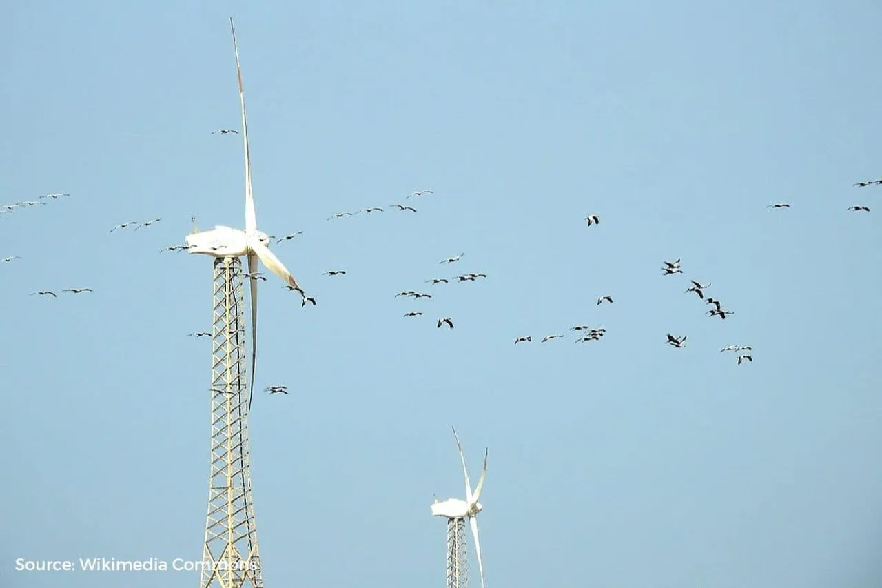 Birds killed by wind turbine is a rhetoric from climate deniers to oppose renewable energy