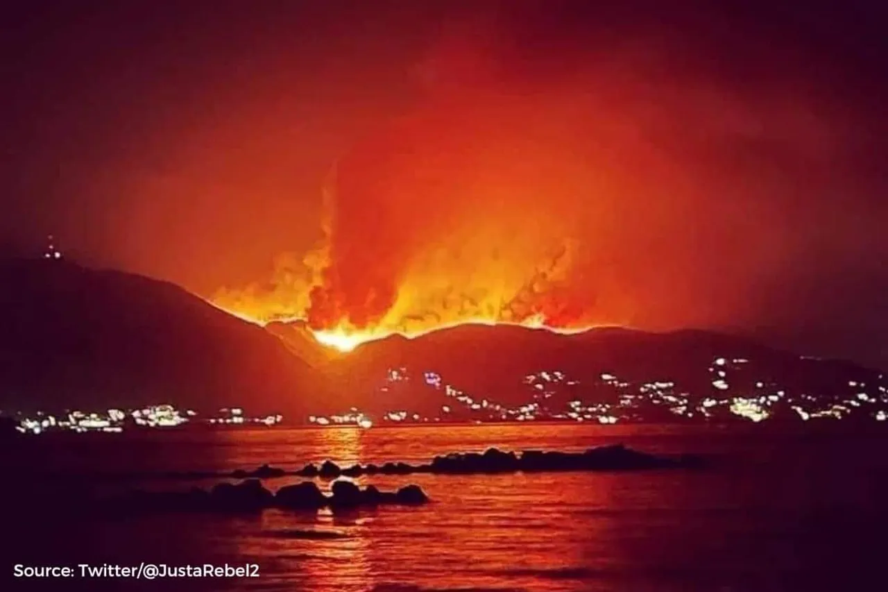 Greece wildfires: These areas are highly affected in the country, see data