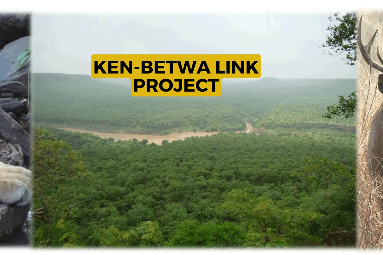 Ken-Betwa link: state govt transferred forest land to forest dept