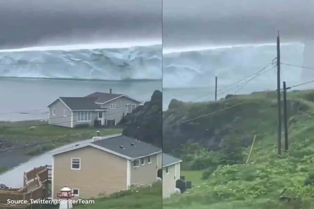 Iceberg appears in Newfoundland, Canada, what is known about it?
