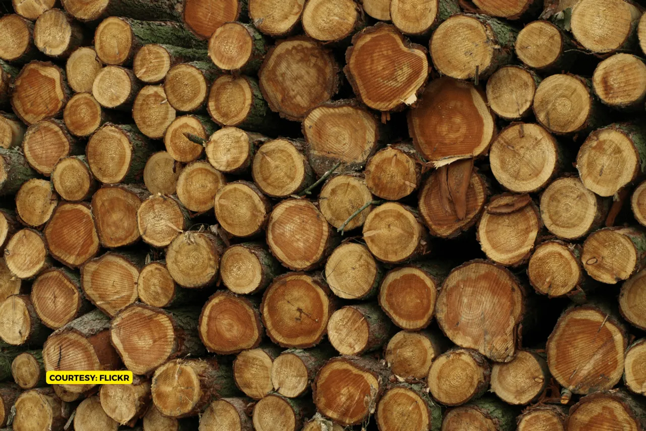 Wood might not be an alternative to concrete, suggests a new study