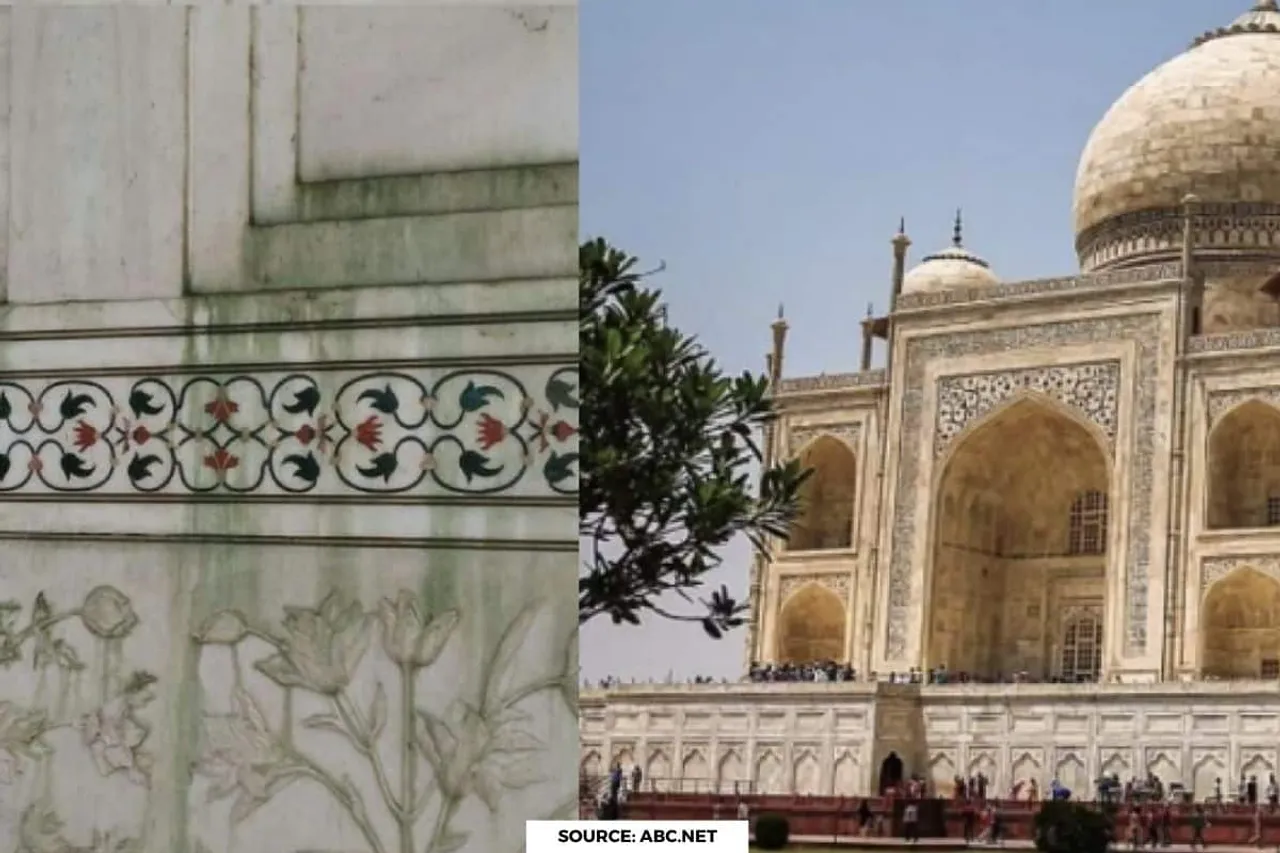 Taj Mahal is turning green, these are the reasons
