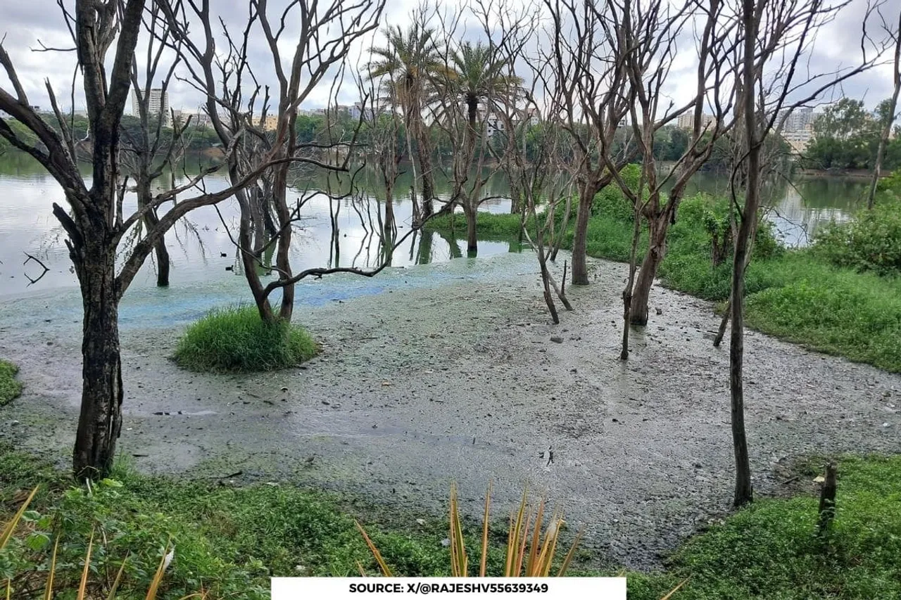 114 lakes rejuvenated in Bengaluru, 19 unfit to use: Data