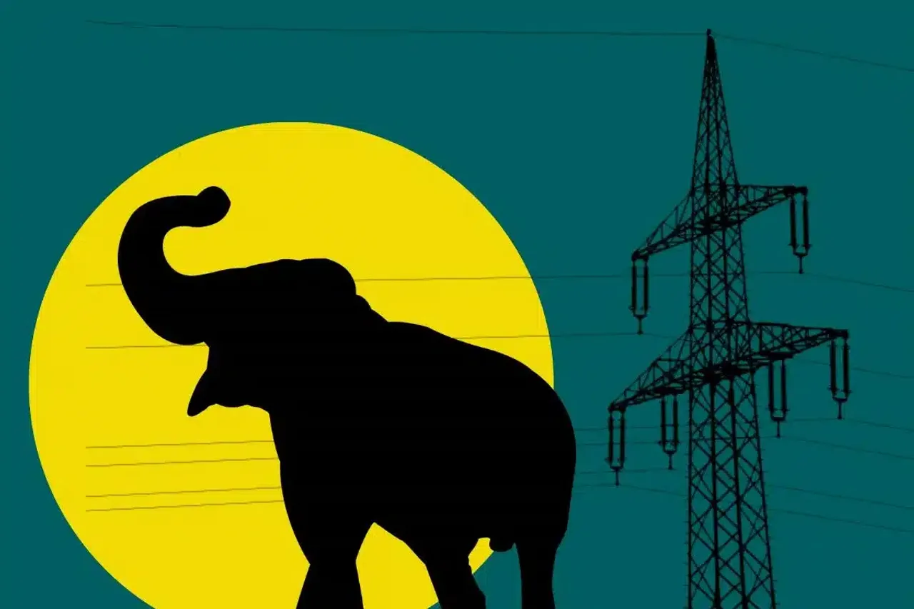 2023 Report: An Examination of Indian Elephant Electrocutions, Poaching, and Mortality Rates