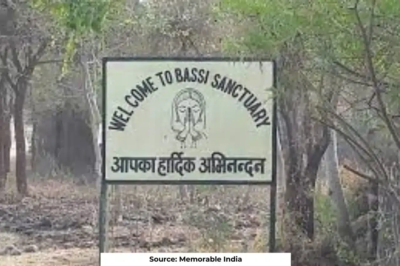 NGT probes alleged illegal mining in Bandh Baretha Wildlife Sanctuary