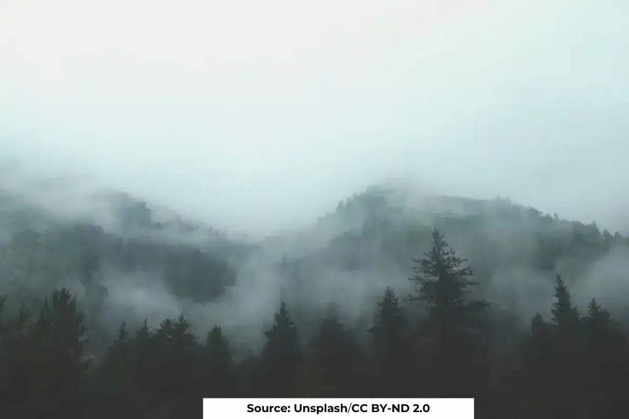 University researchers uncover how fog forms in Mountains