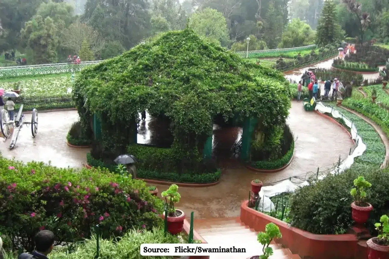 Botanical gardens best green spaces to cool down cities during heatwaves, study