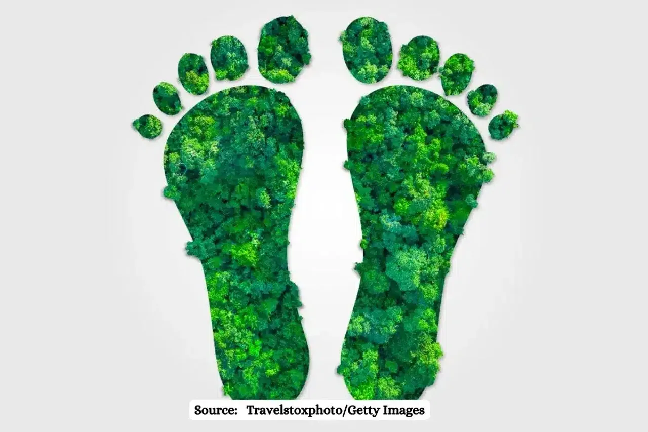 Find out your carbon footprint with this calculator
