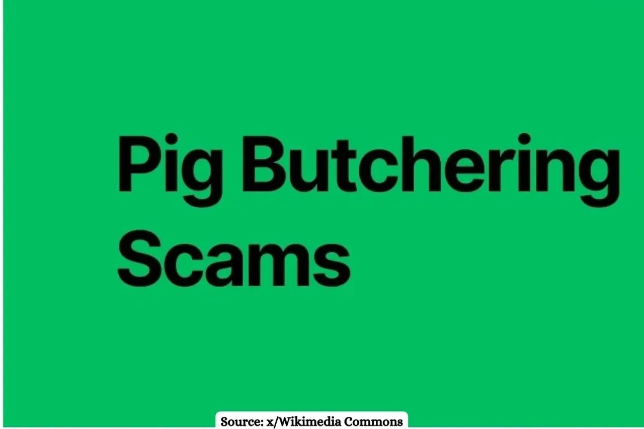 What is Pig Butchering Scam in Crypto business?