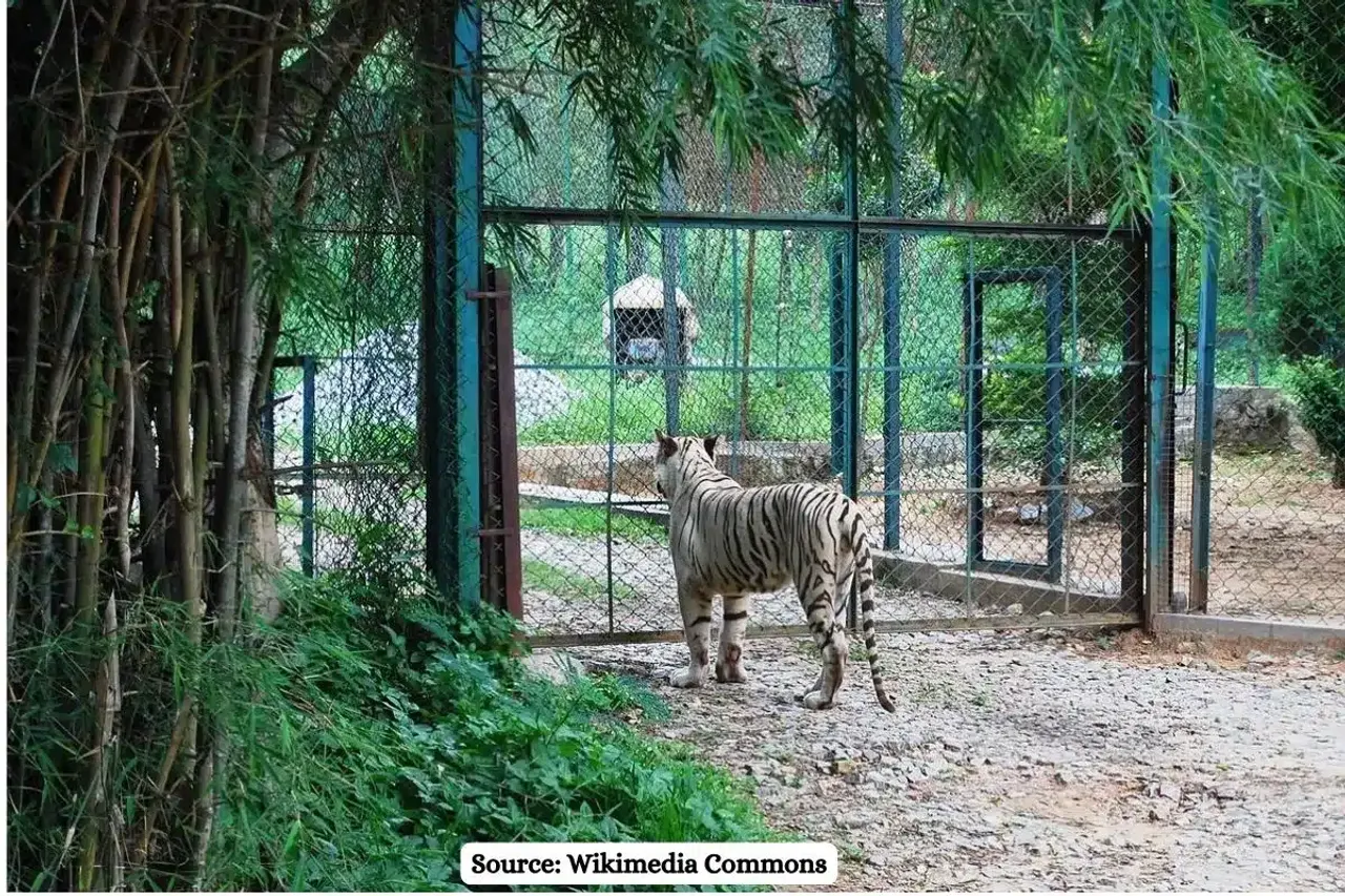 How a highway construction through Bannerghatta National Park will damage the ecology?
