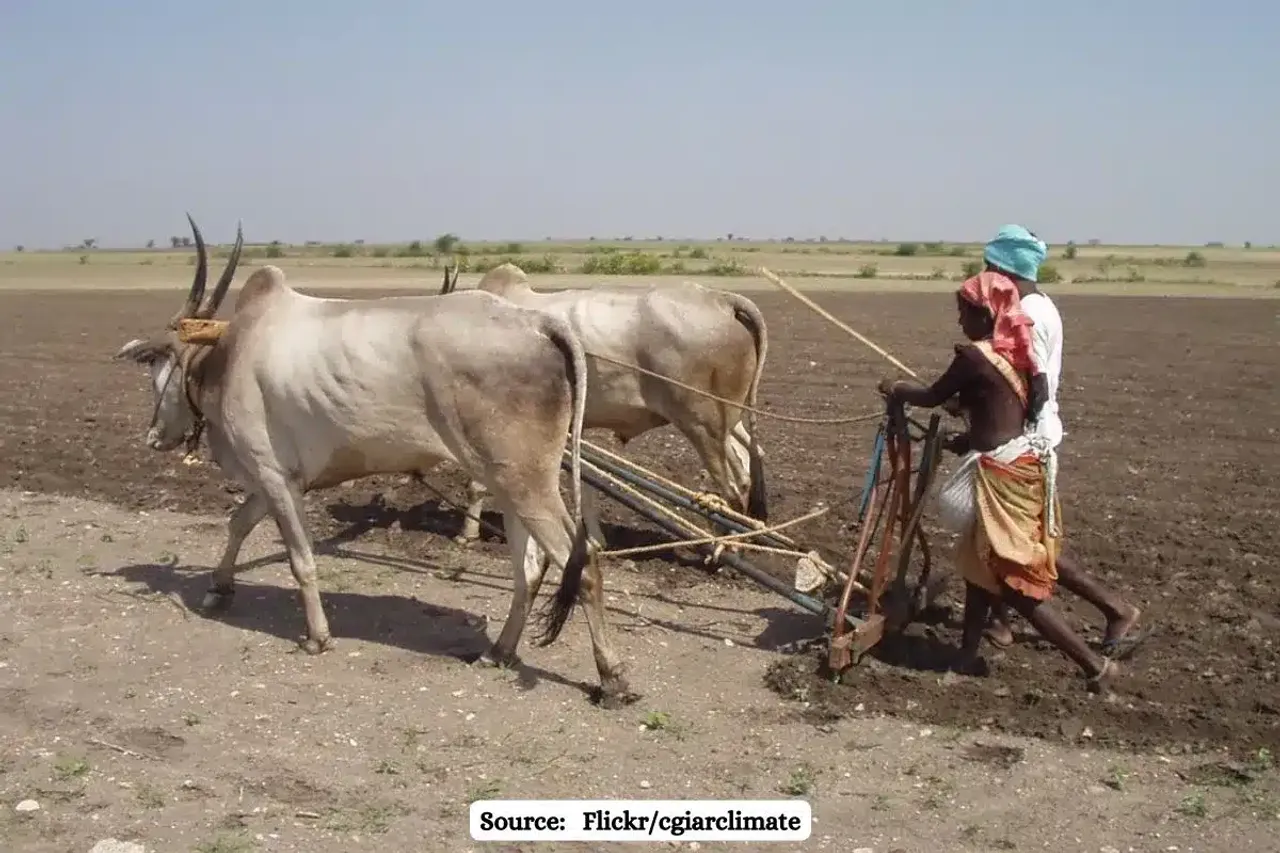 Rural poor in India lose 5% of income annually to heat stress, increases climate vulnerability