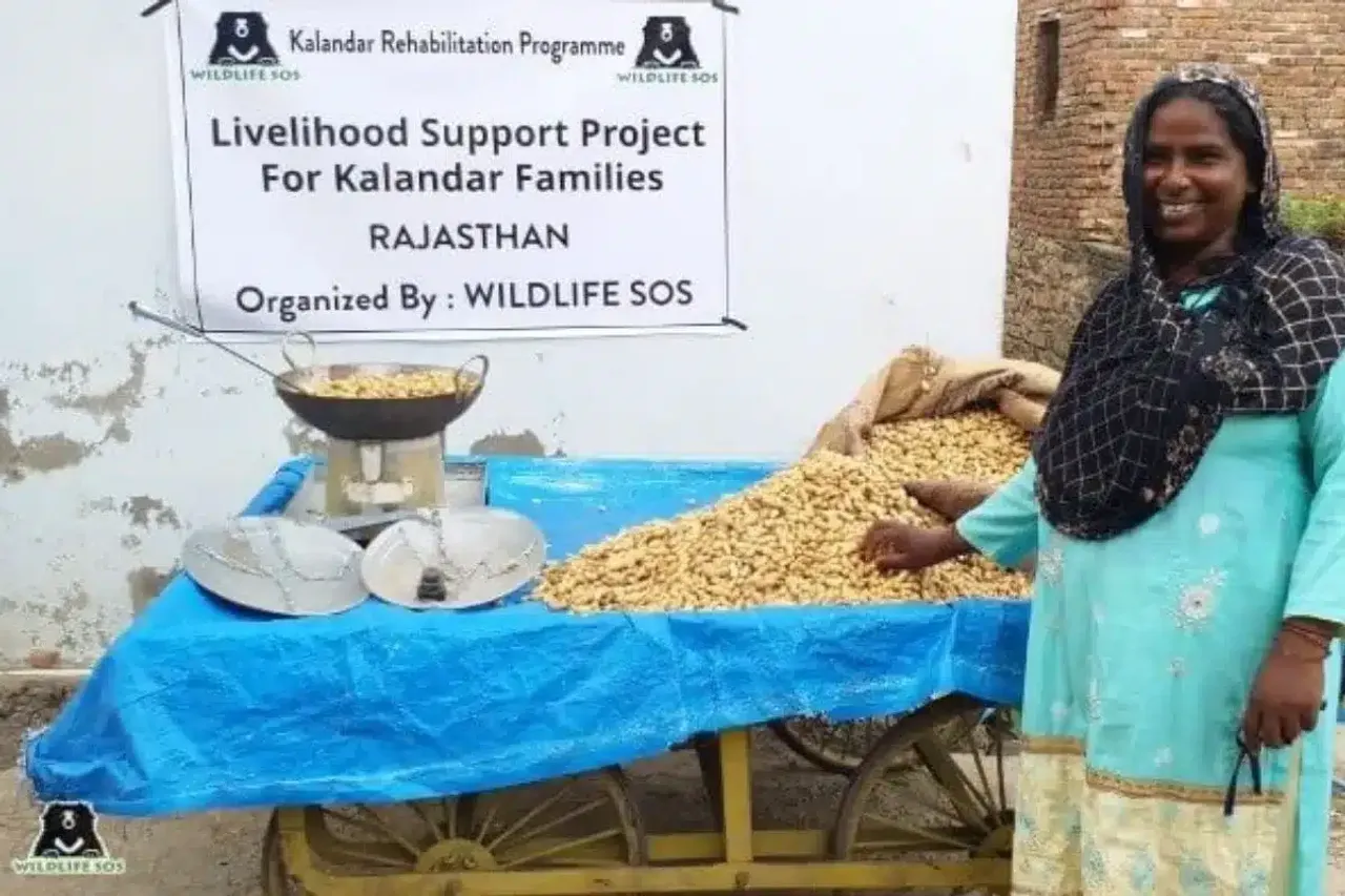 Empowering women, preserving wildlife: Story of Kalandar community
