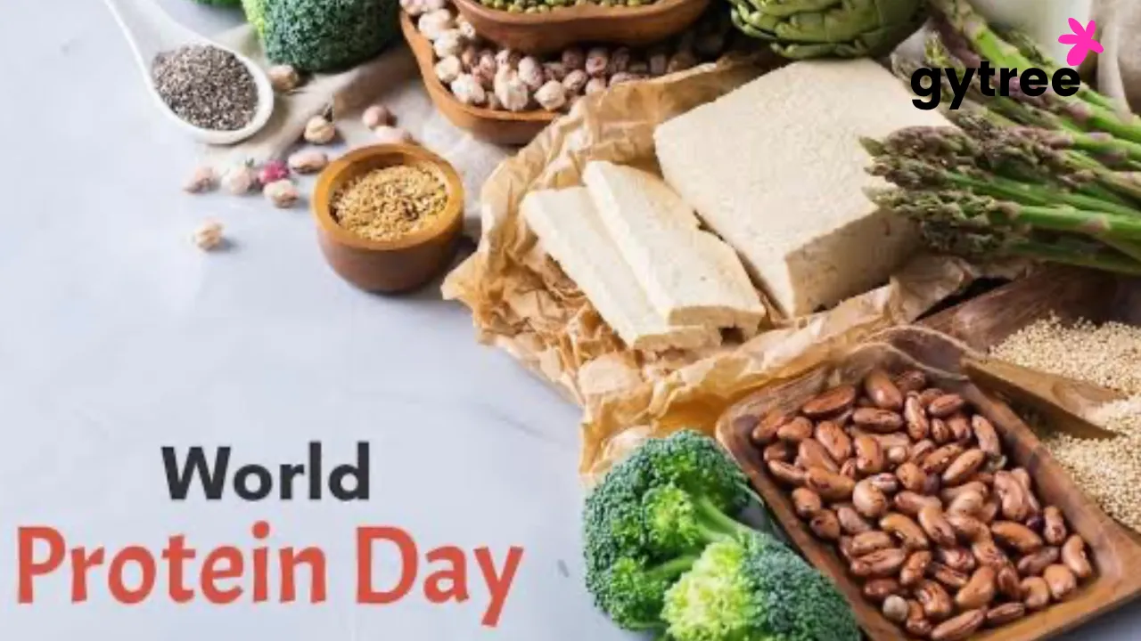 World protein day