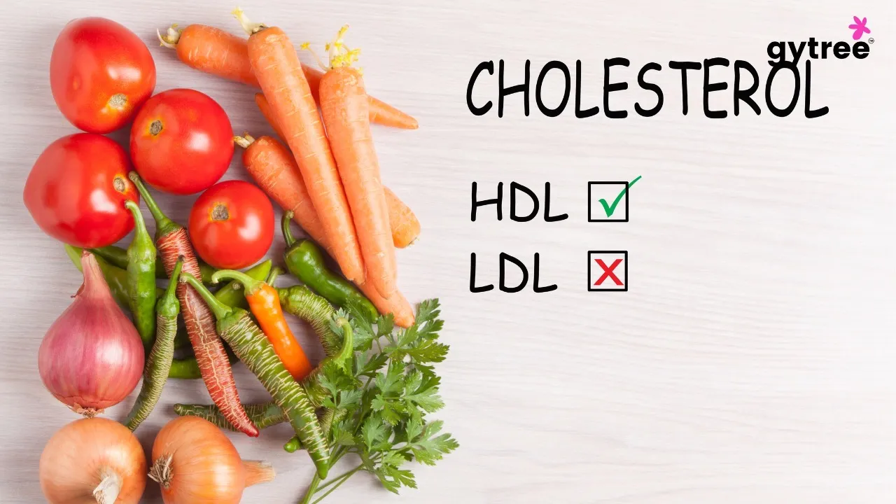 5 foods that lowers high cholesterol levels