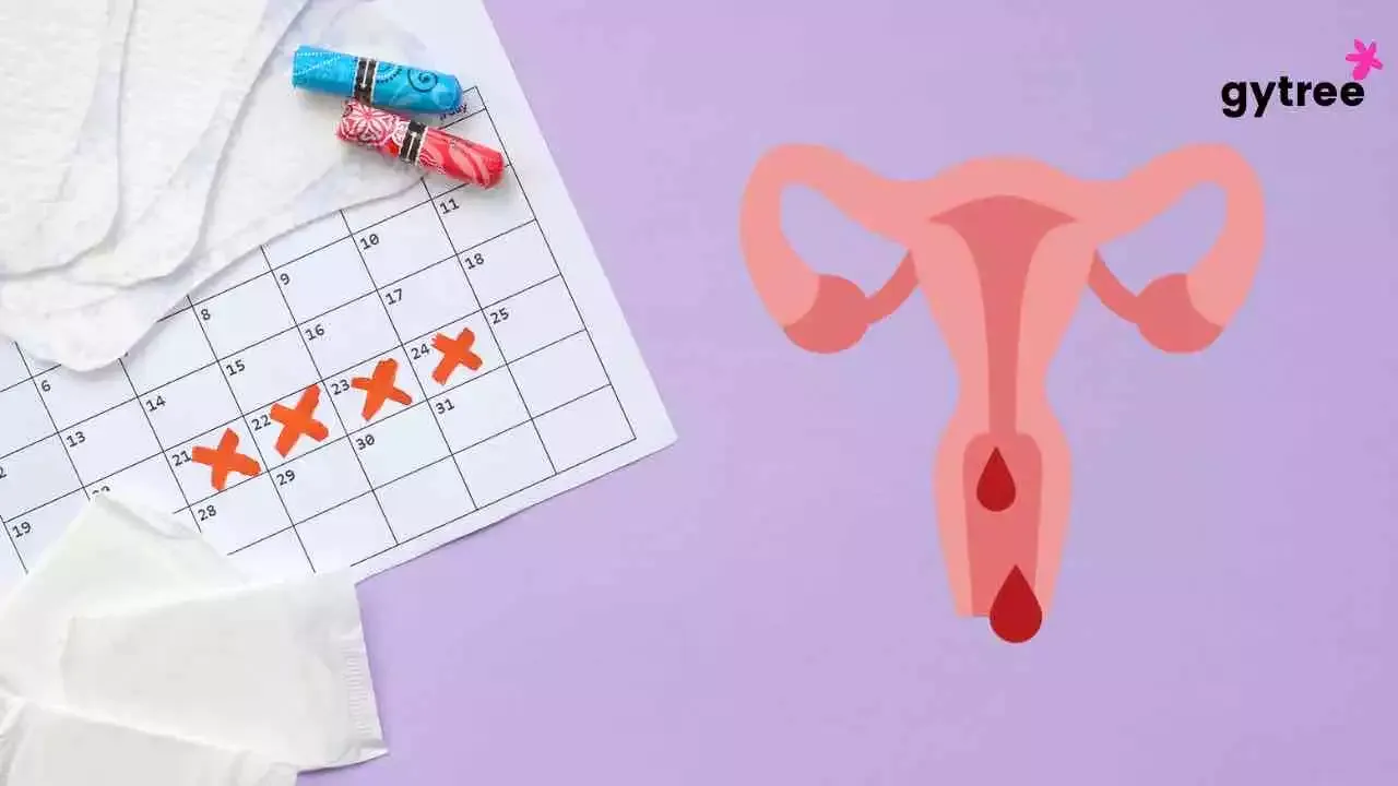 Premature Menarche: The EarlyKnock of Periods in Women