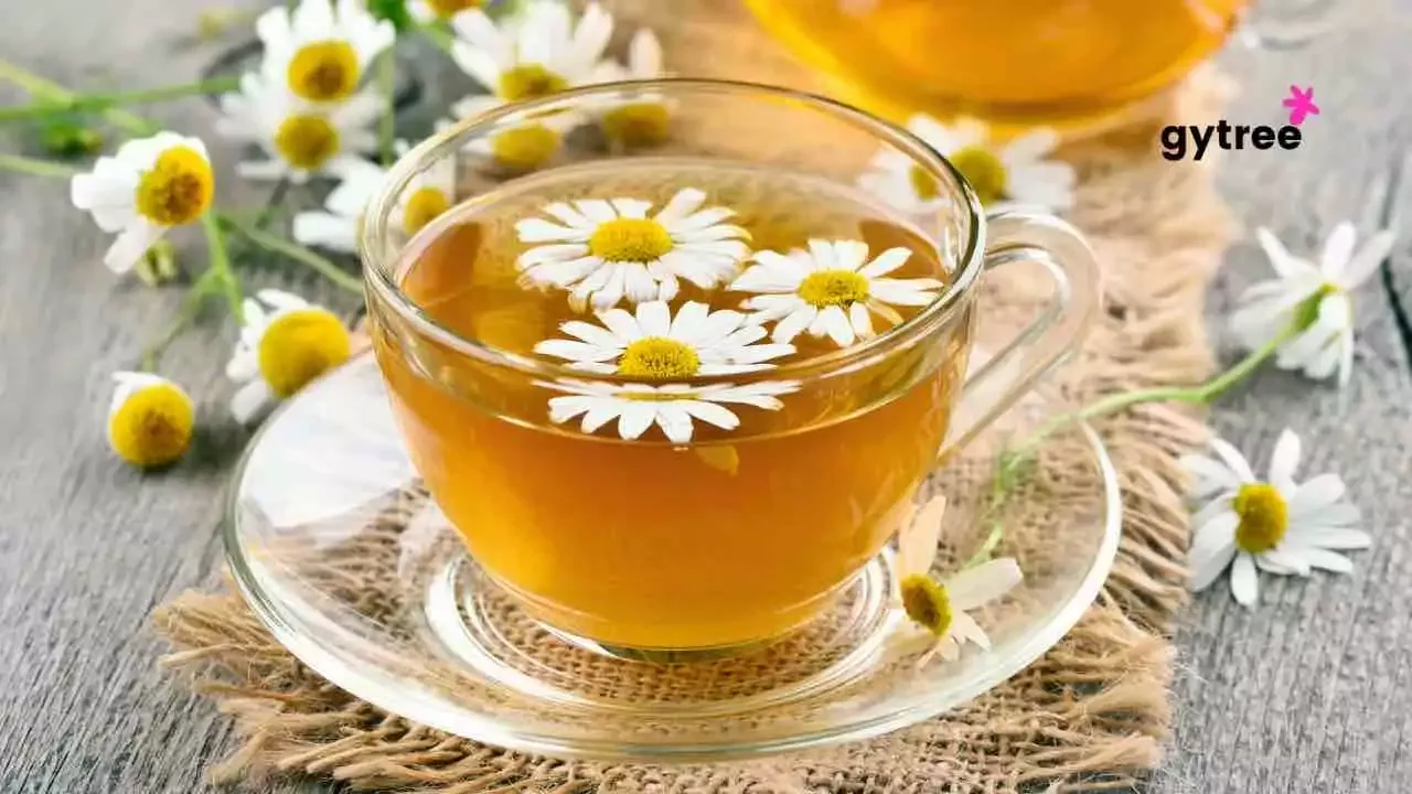 The Soothing Brew: Unveiling 10 Incredible Benefits of Chamomile Tea for Women