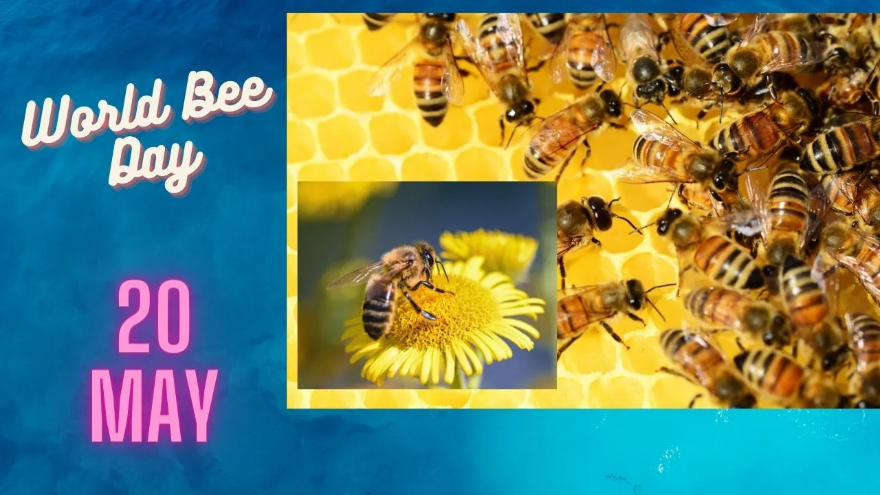 20 मई विश्व मधुमक्खी दिवस समारोह
