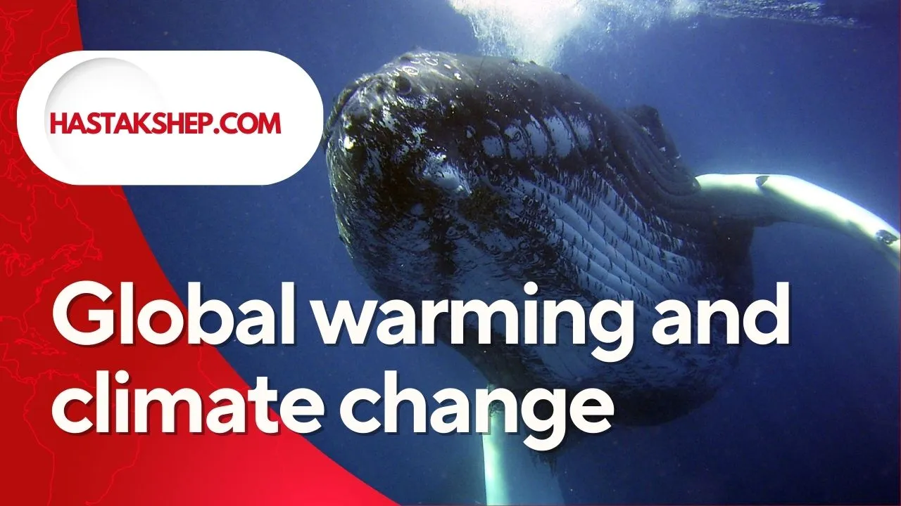 Global warming and climate change