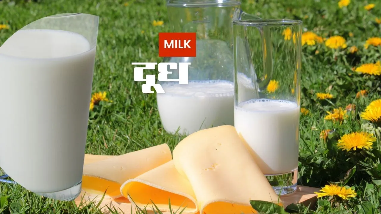 दूध में मिलावट : इस नई तकनीक से 30 सेकंड में पता चलेगा