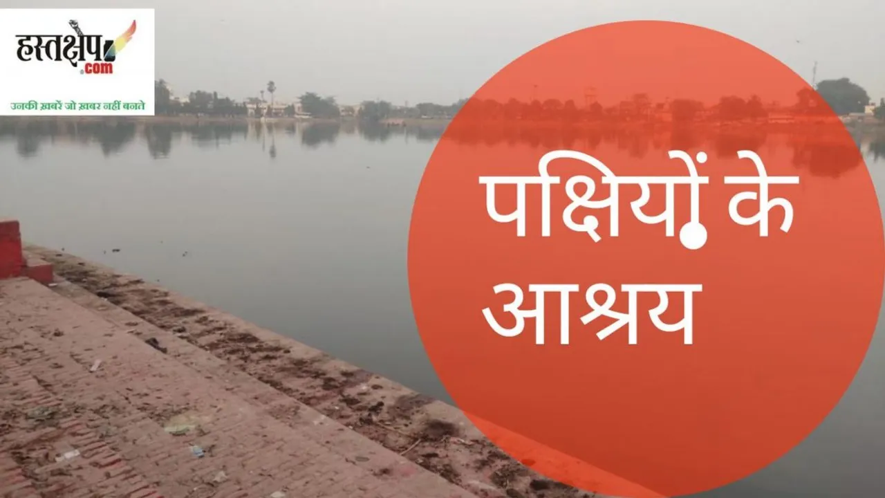 गंभीर होती पक्षियों के आवास की समस्या