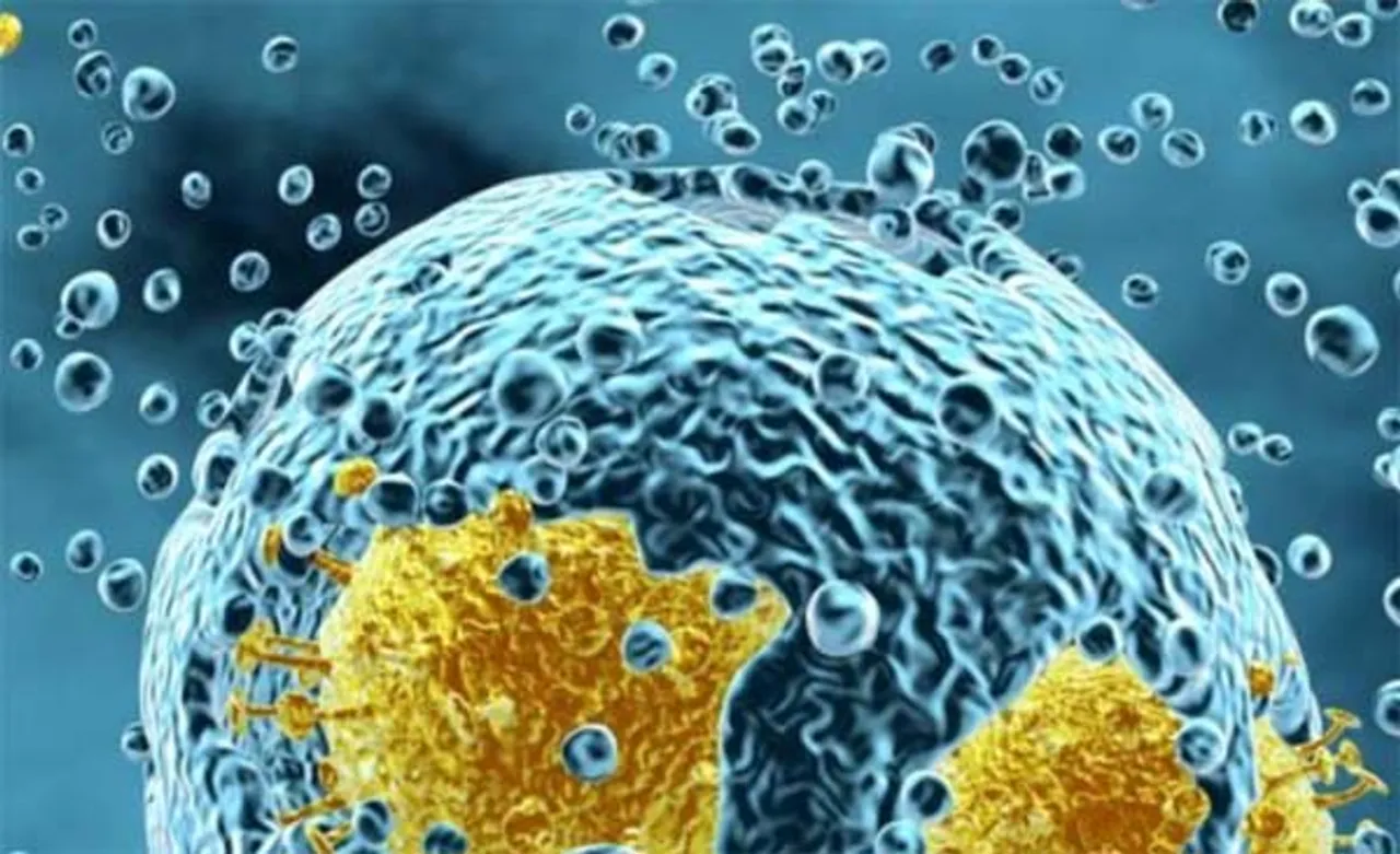 कैंसर कोशिकाओं और सामान्य कोशिकाओं के बीच अंतर