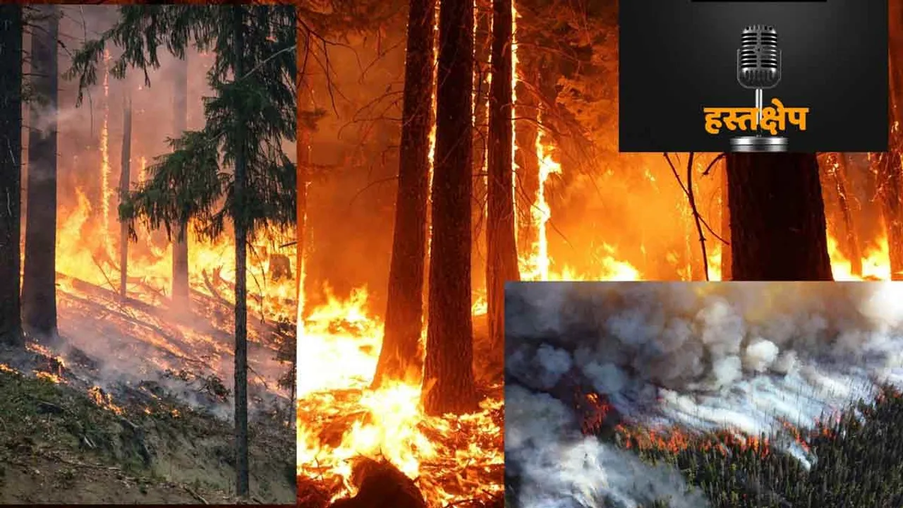 जानिए उत्तराखंड के जंगलों में आखिर क्यों लग रही आग?