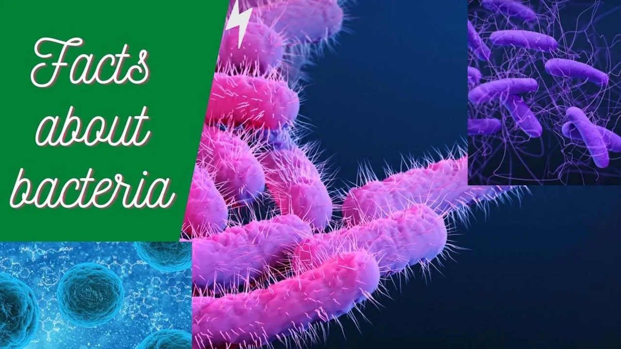 शोधकर्ताओं ने उजागर किया बैक्टीरिया की कोशिकाओं का आंतरिक रक्षात्मक तंत्र