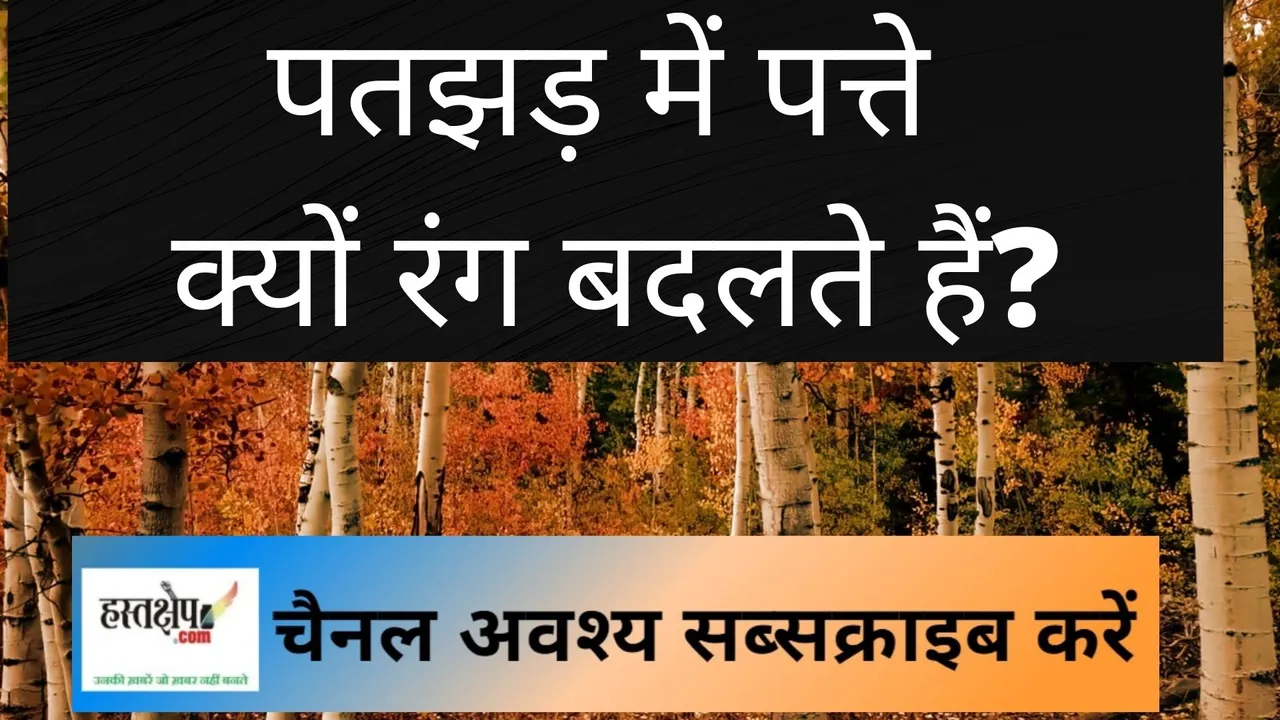 पतझड़ में पत्तियाँ अपना रंग क्यों बदलती हैं?