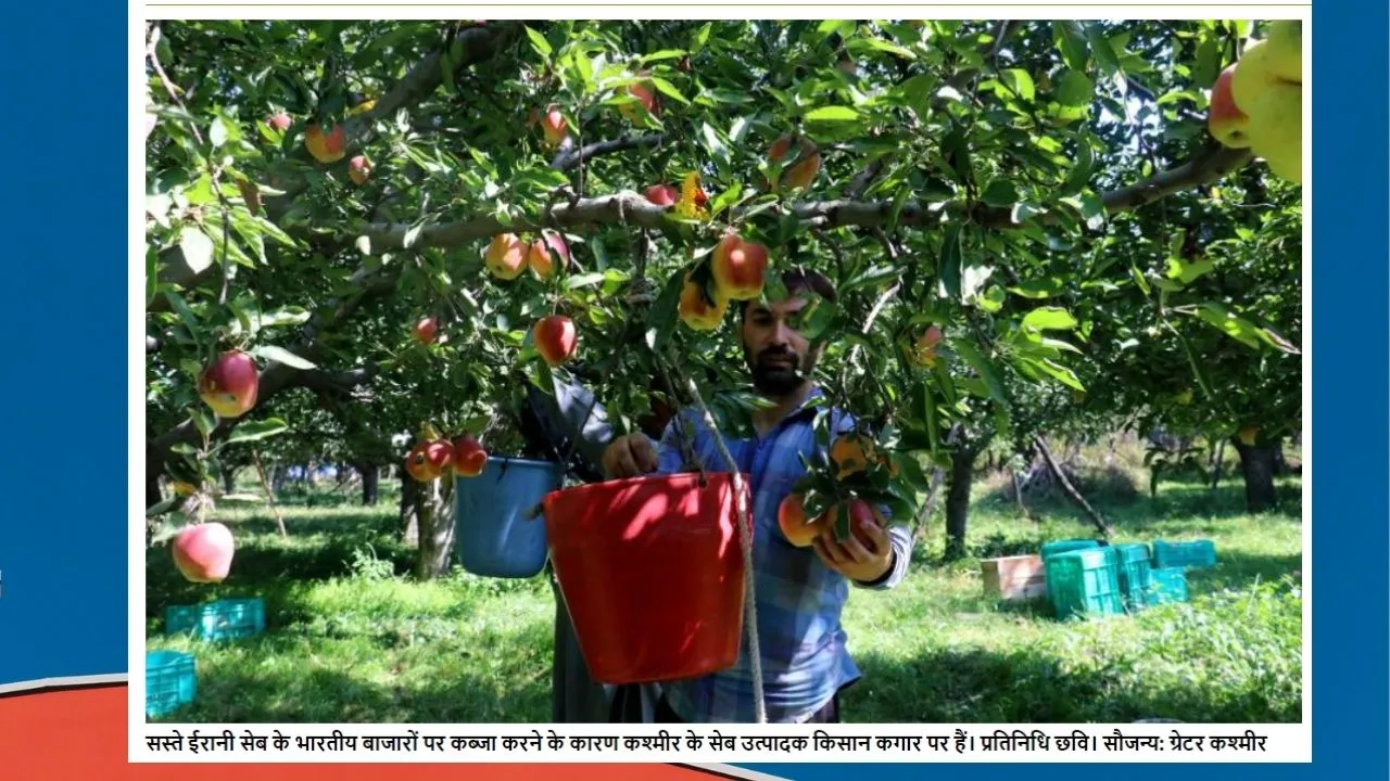 Apples in kashmir : क्यों लड़खड़ा रहा कश्मीर का सेब व्यापार ? क्या सस्ते ईरानी सेब बने वजह?