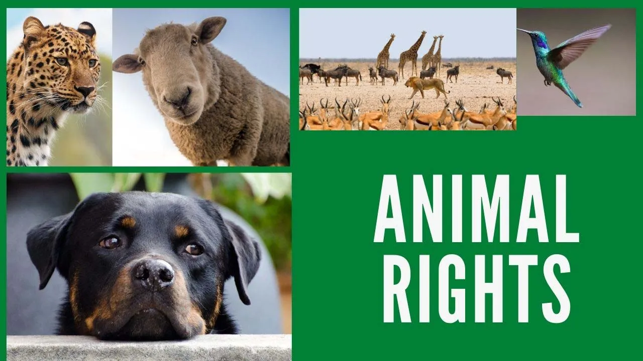 जानिए भारत में पशुओं के कानूनी अधिकार क्या हैं