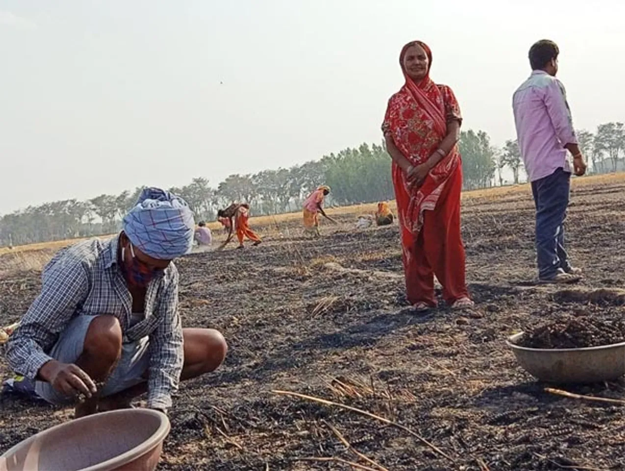 यूपी : डुमरियागंज क्षेत्र के परसा हुसैन गांव के 36 किसानों की 50 बीघे से ज्यादा गेंहू की फसल जलकर राख