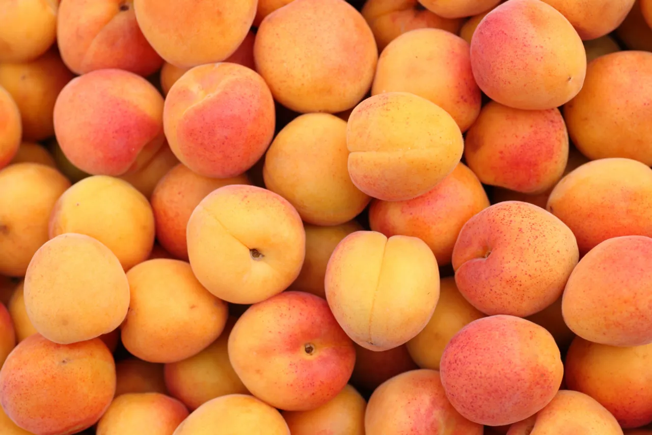 Health benefits of Apricots