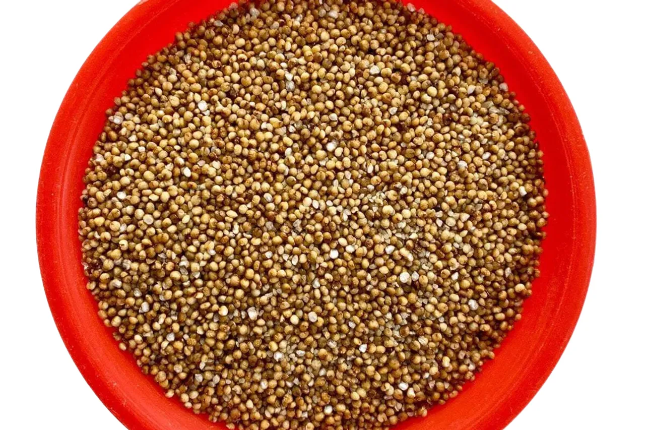 benefits of kodo millet