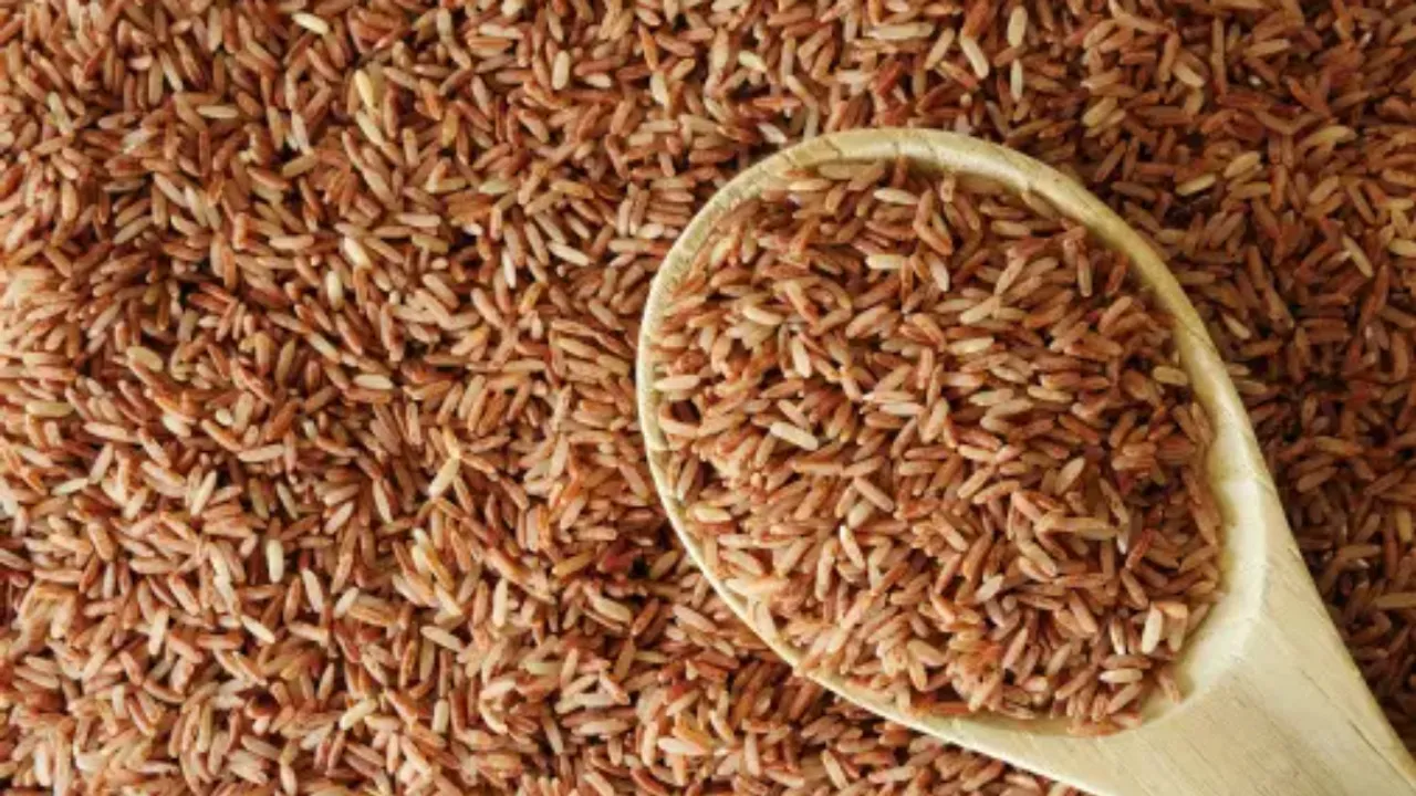 Brown Rice Protein से इन तरीकों से कर सकते हैं Bloating को कम