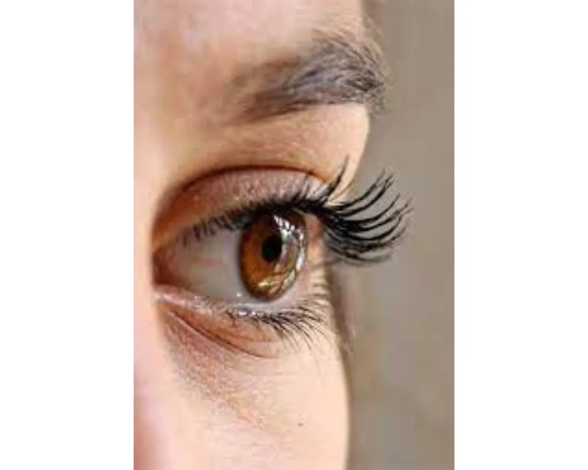 Eyecare: जानिए अच्छी आंखों की दृष्टि के लिए क्या खाना आवश्यक है ?
