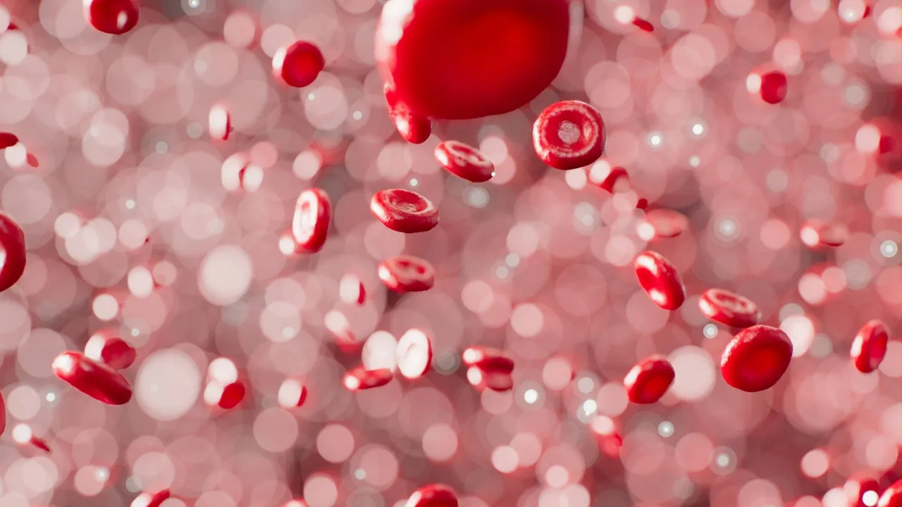 Haemoglobin 