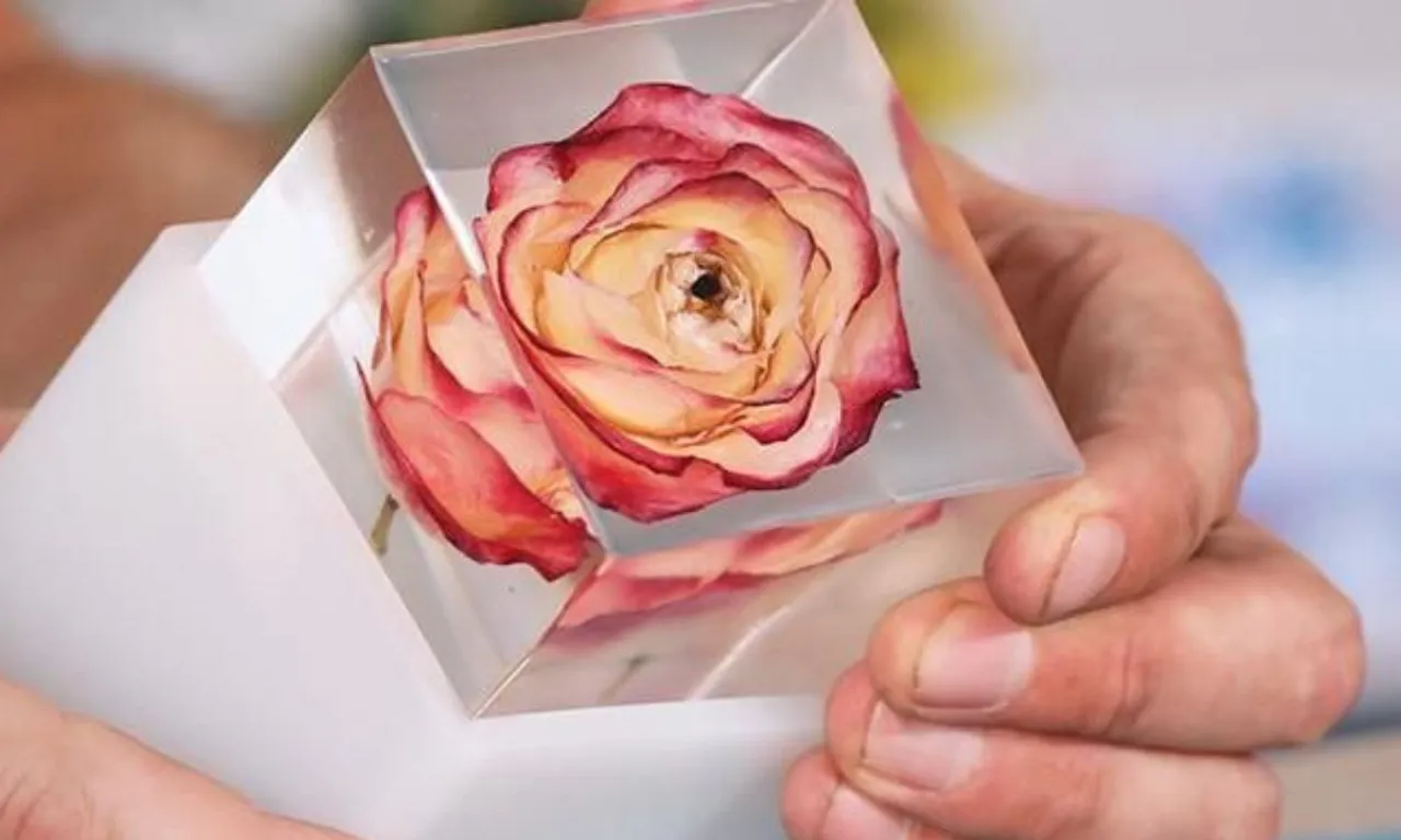 Rose day