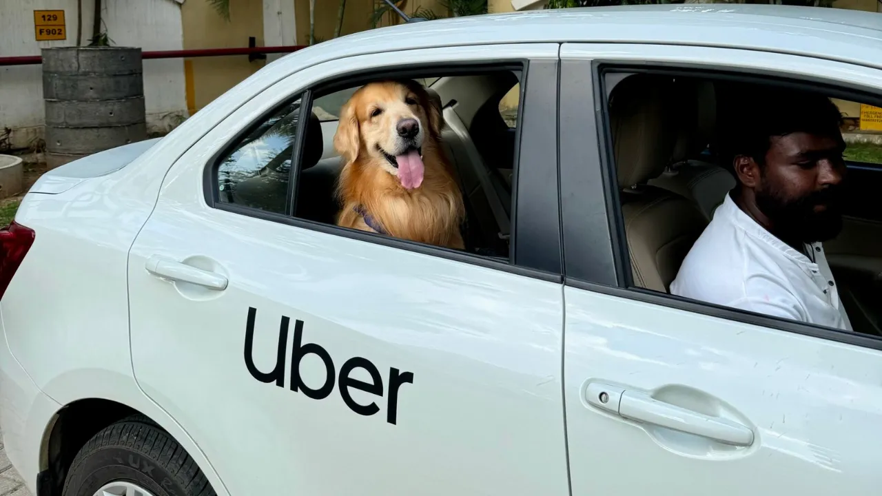 Uber Pet Services