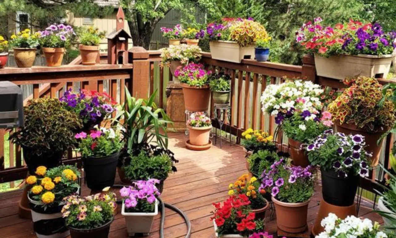 garden