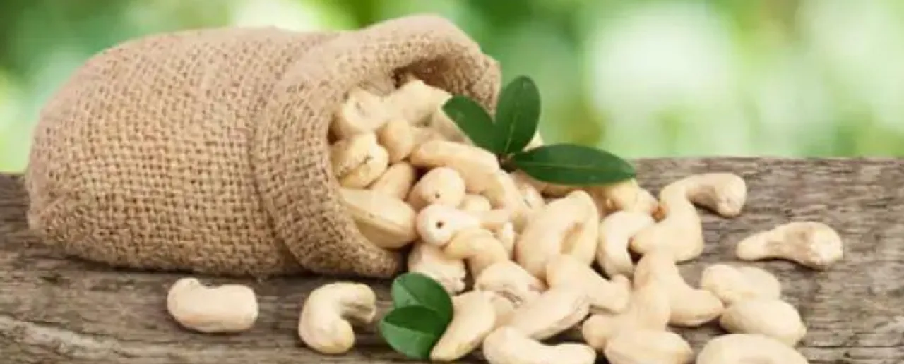 Disadvantages of Cashews: खाली पेट काजू खाने के नुकसान