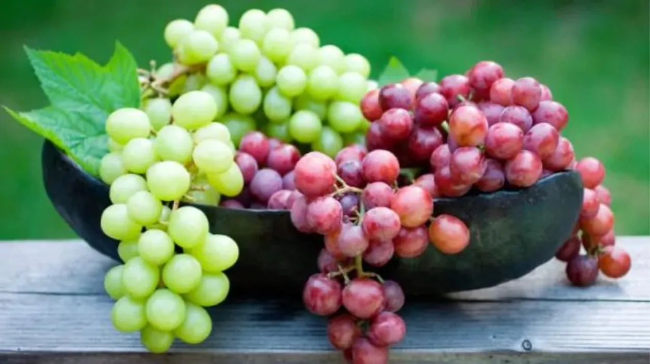 Grapes Benefits In Winters: सर्दी में अंगूर खाना सेहत के लिए फायदेमंद