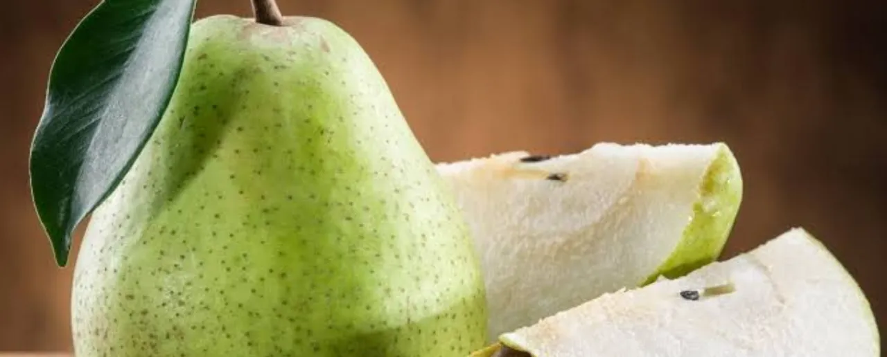 Pear Benefits: मस्तिष्क और पाचन-तंत्र के लिए बेहतर है नाशपाती खाना