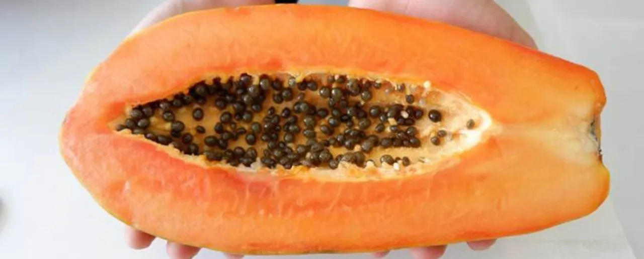 Papaya seed