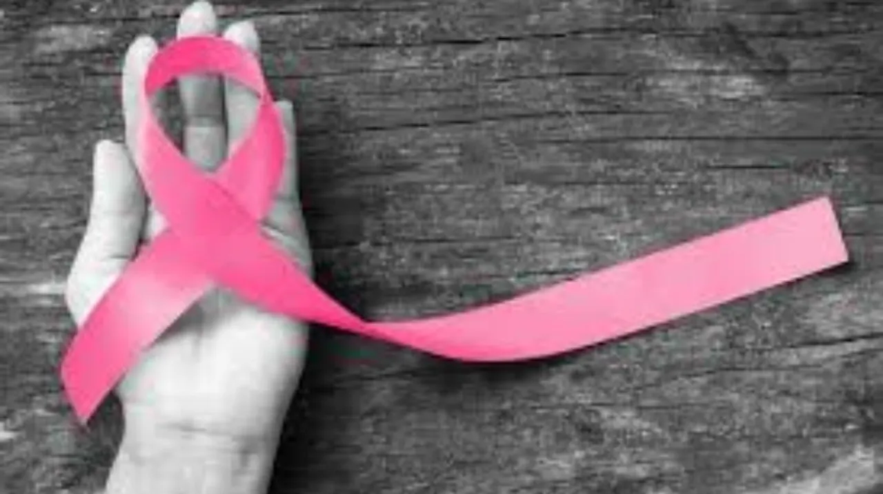 Gynecological Cancer Types: महिलाओं को होने वाले 5 गायनेकोलॉजिकल कैंसर