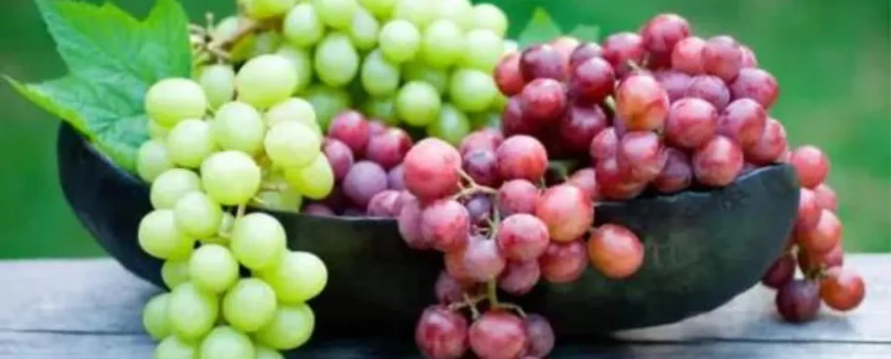 Benefits Of Grapes: जानिए रोज अंगूर खाने के फायदे