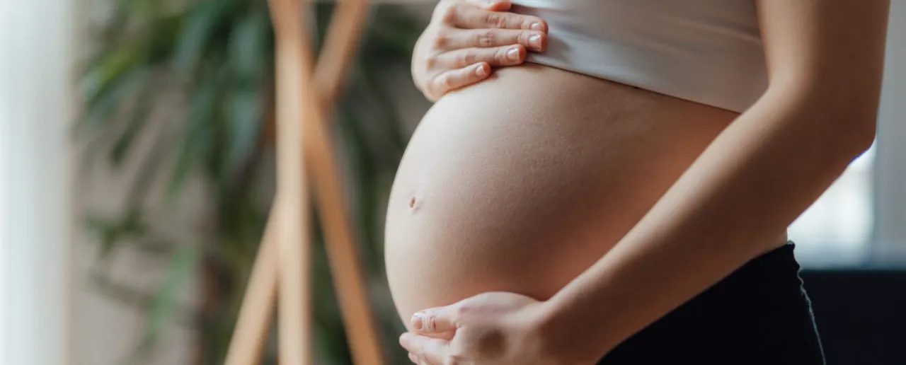Pregnancy Tips: 5 टिप्स जो हर प्रेगनेंट महिला को पता होना चाहिए
